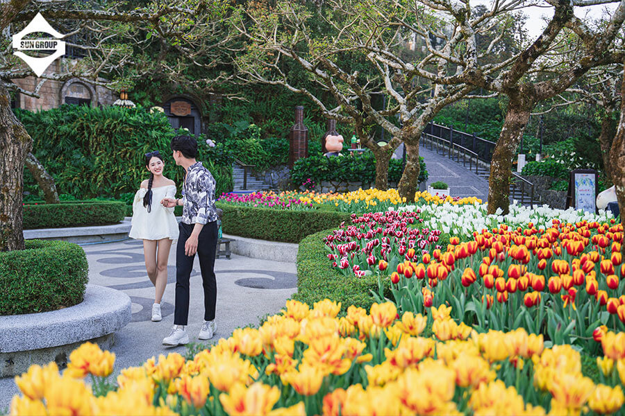 tìm hiểu về bà nà hil