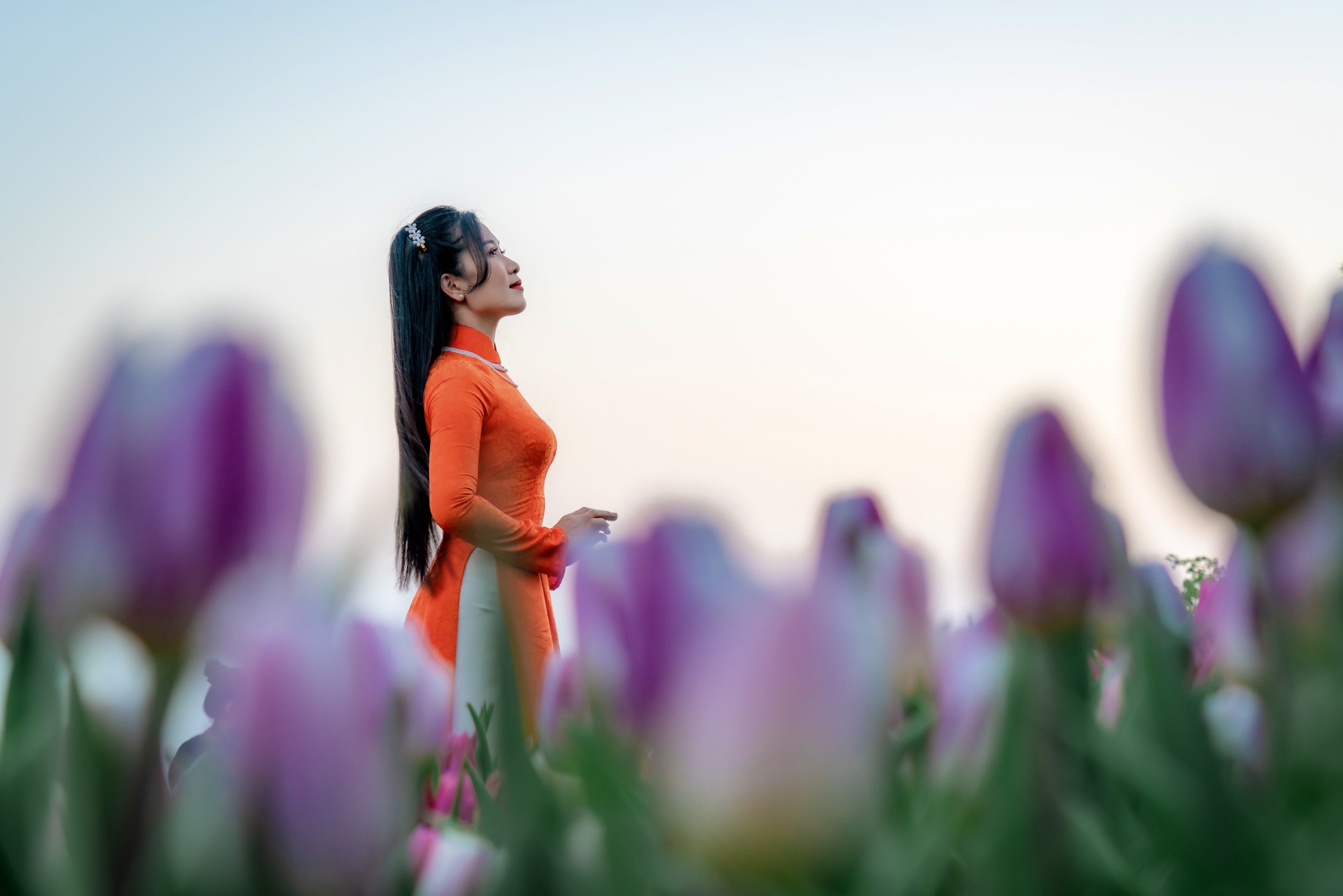checkin%20tulip.jpg