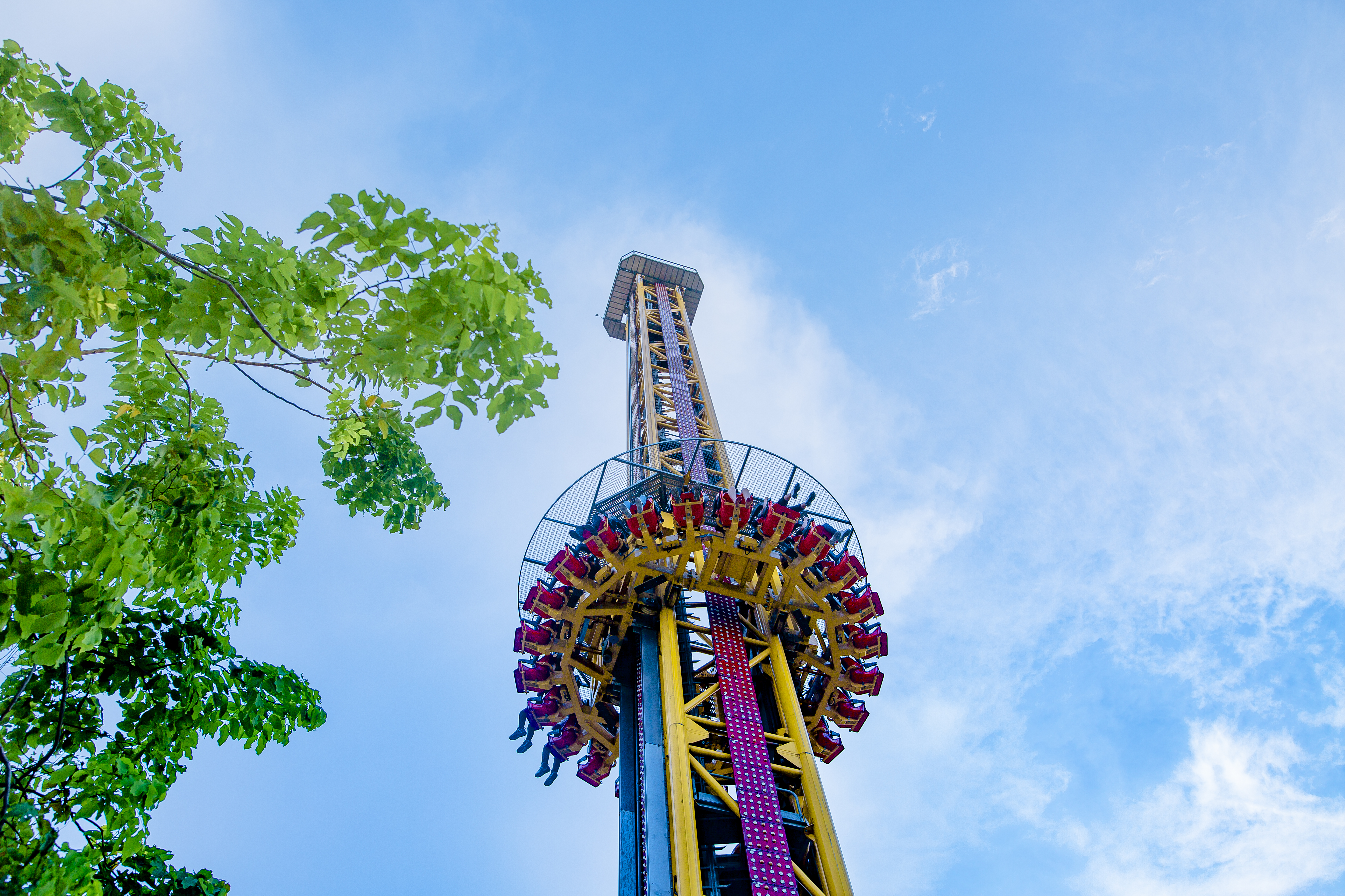 Chợ đêm VUI-Fest Hạ Long là điểm đến không thể bỏ qua của du khách