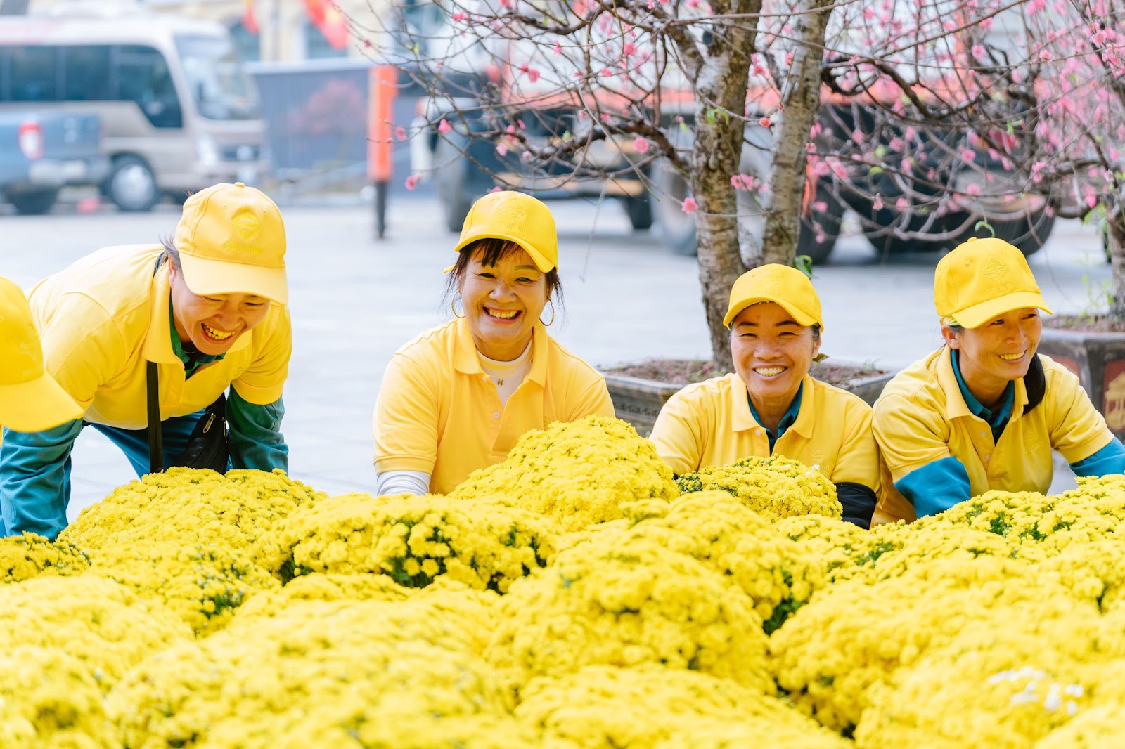 Đội ngũ thi công nỗ lực hoàn thiện không gian hoa xuân trưng bày dịp Tết.