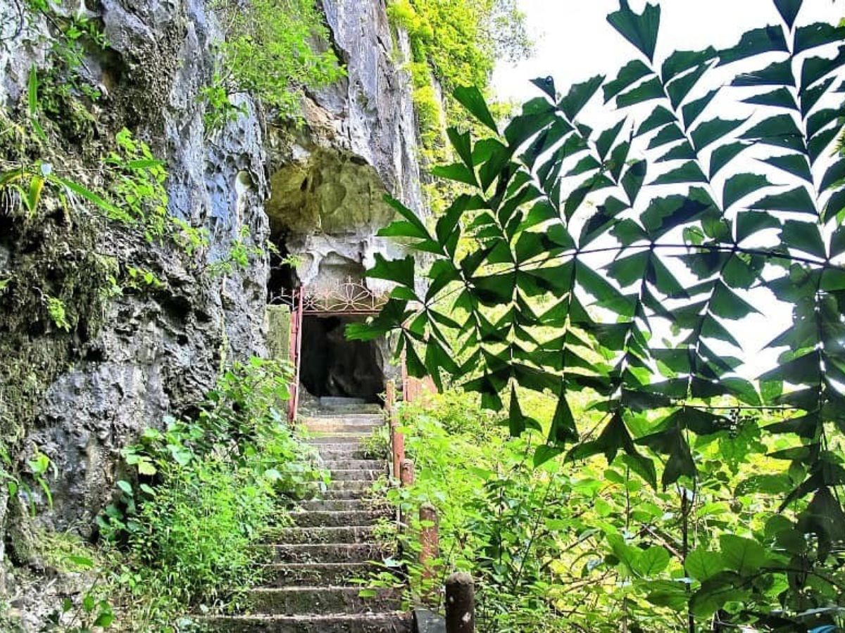 image1.jpg