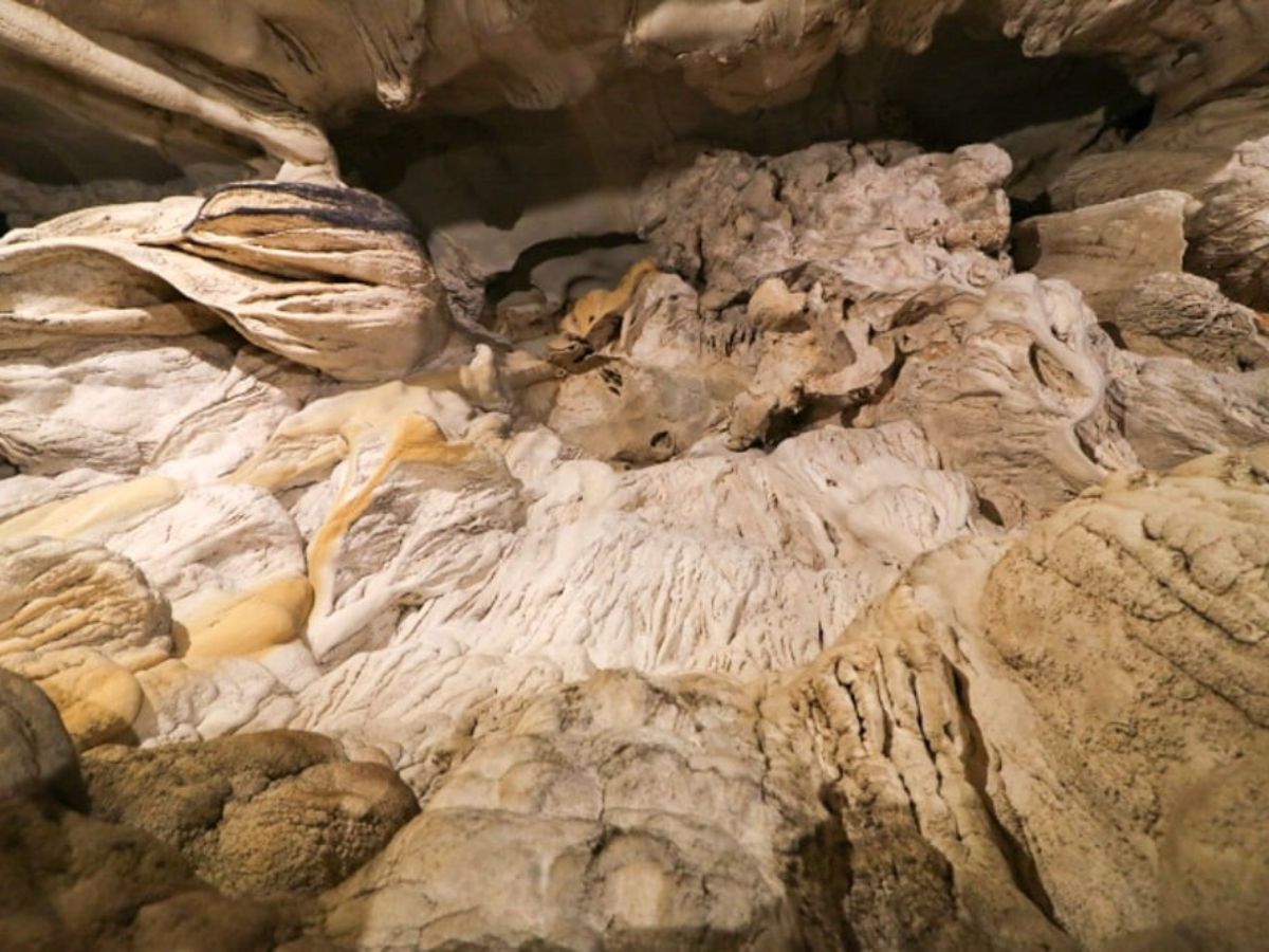 image2.jpg