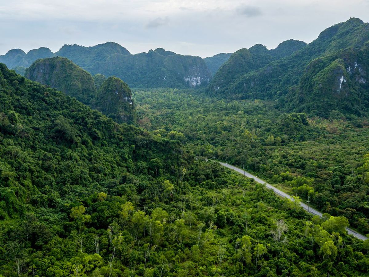 Cat Ba Biosphere Reserve was recognized by UNESCO in 2004.