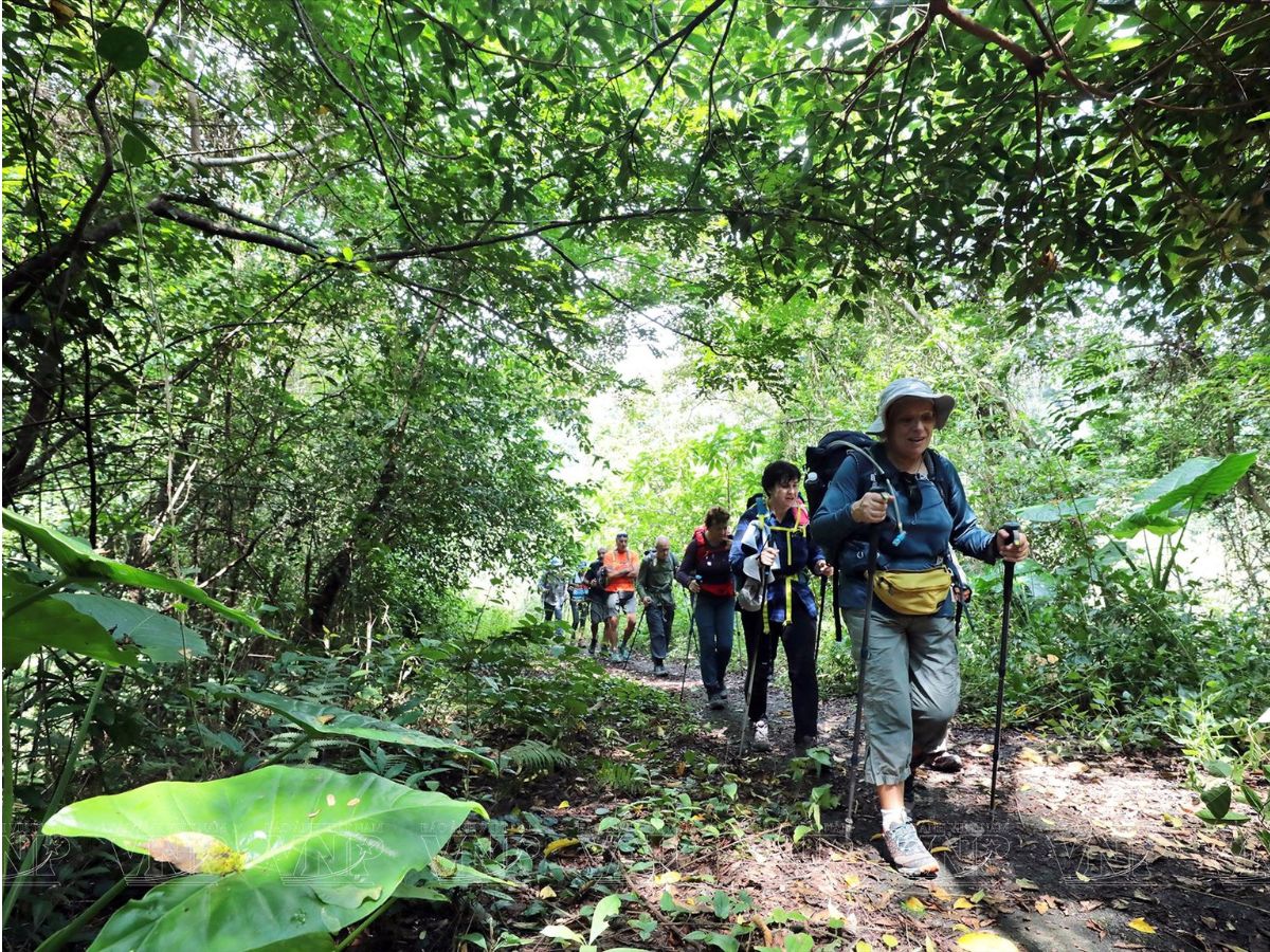 Tour visiting Cat Ba Biosphere Reserve.