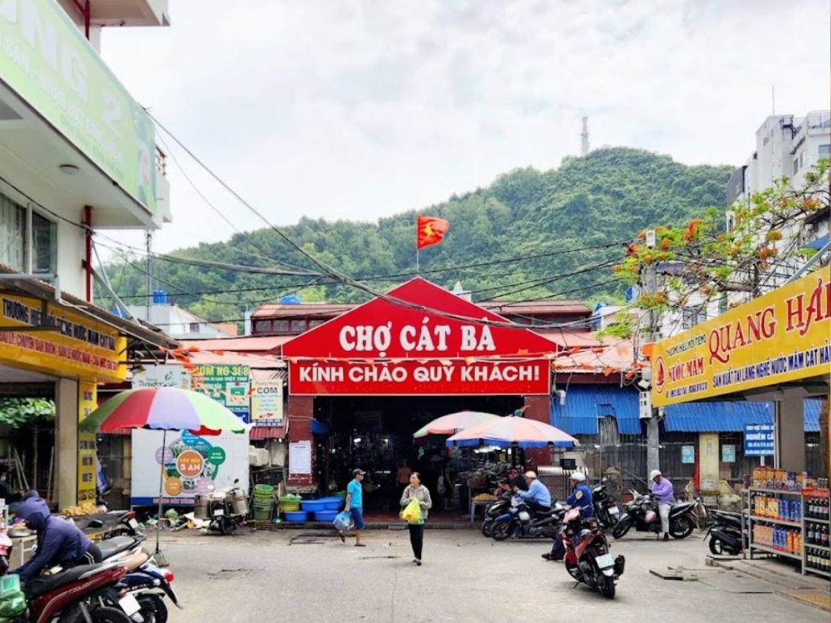 image1.jpg