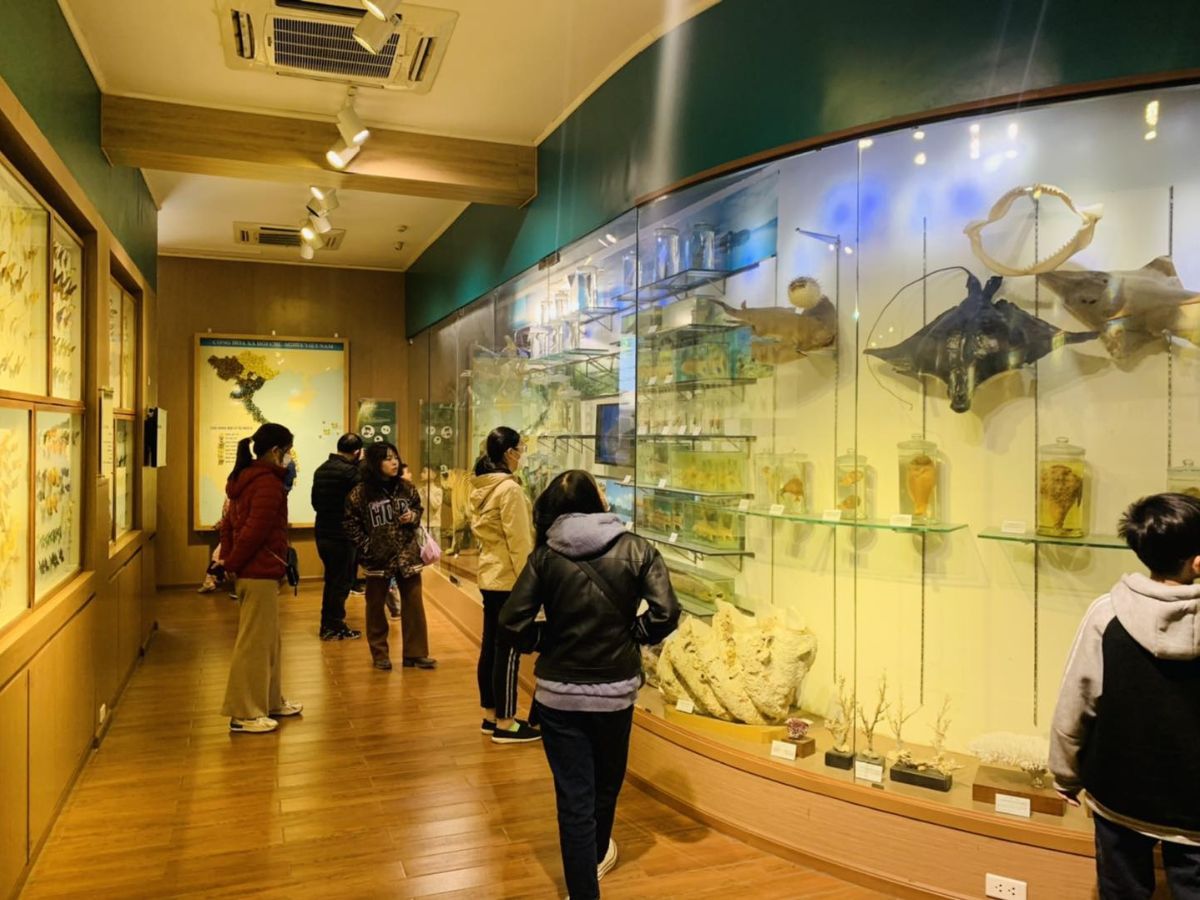 Lịch trình khám phá Đồi Thiên Văn Trần Thành Ngọ, Kiến An, Hải Phòng trong 1 ngày.