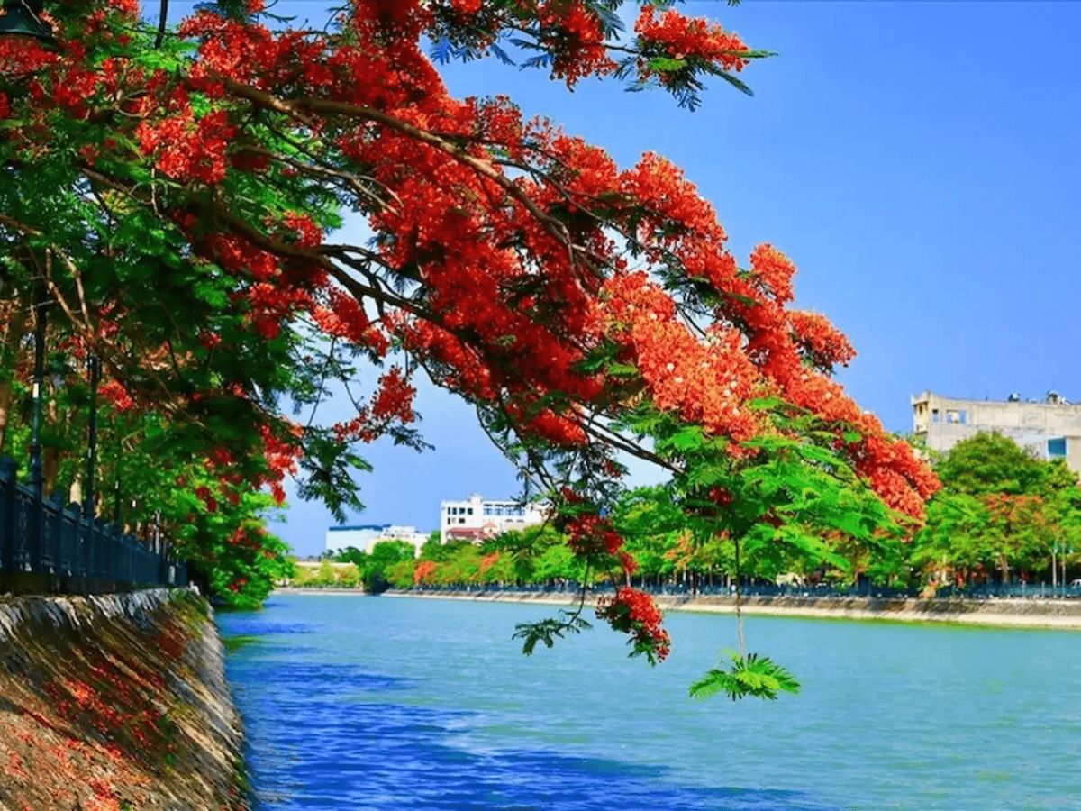 Hồ Tam Bạc (Hải Phòng) có vị trí đắc địa ở trung tâm thành phố.