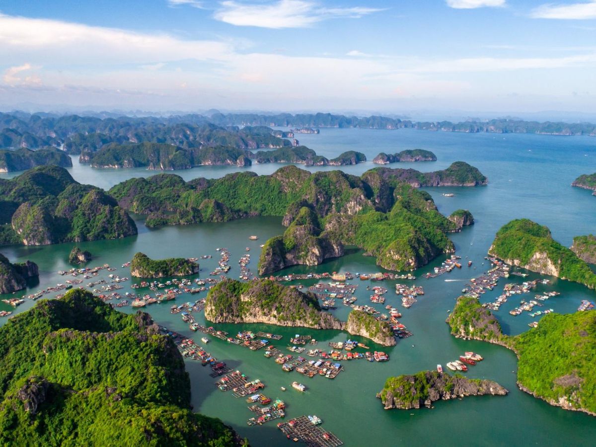 Biển Cát Bà (Hải Phòng) là nơi hội tụ của nhiều hệ sinh thái quý giá.