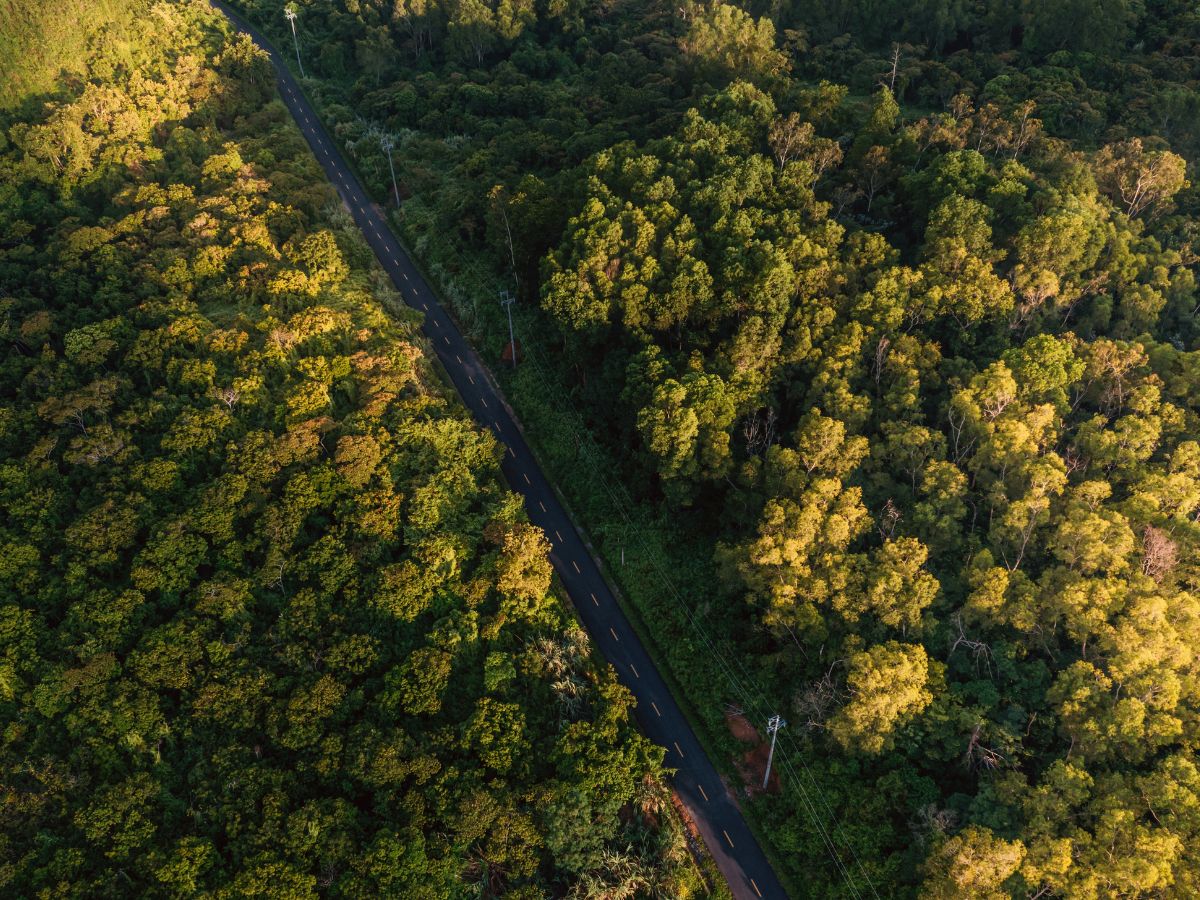 Thời tiết đẹp giúp hành trình tham quan thêm trọn vẹn.