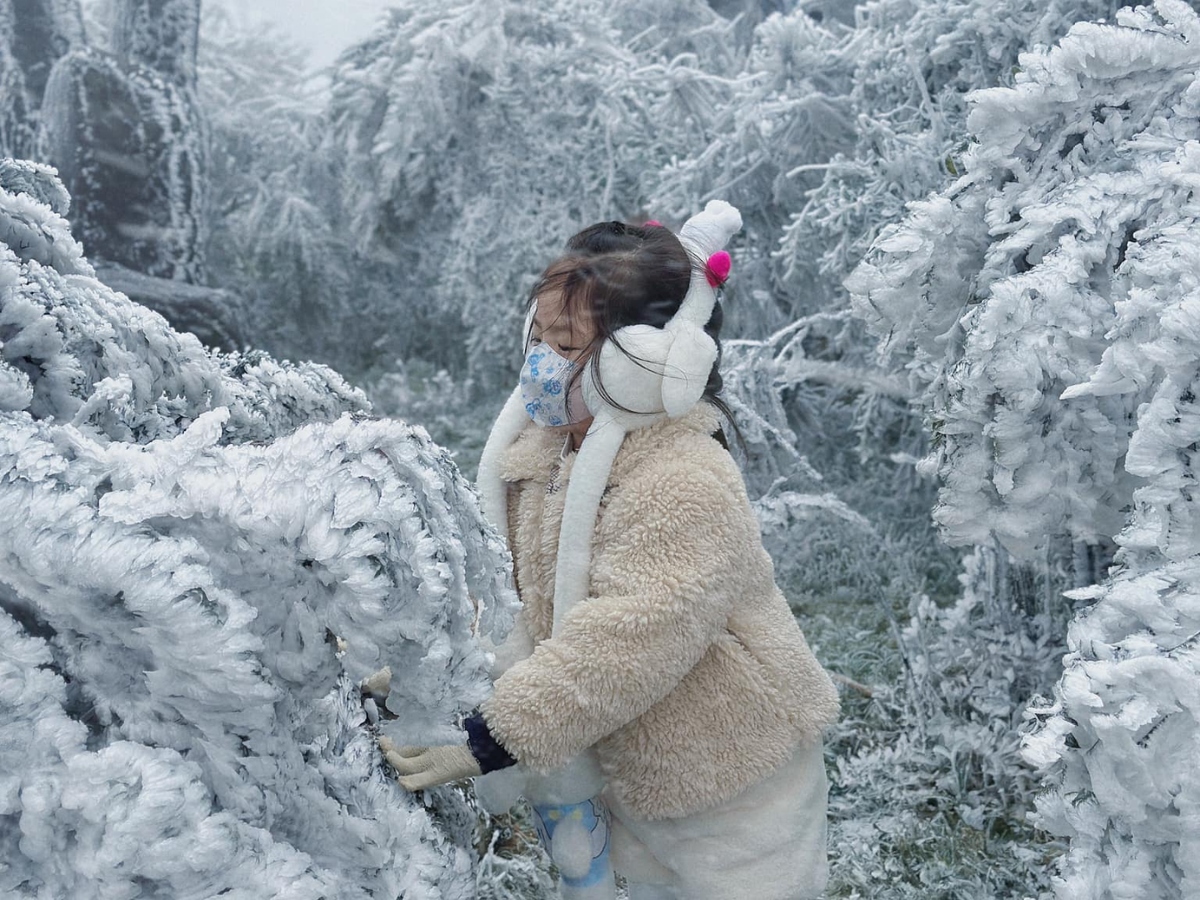 Check-in tuyết tại Mẫu Sơn.