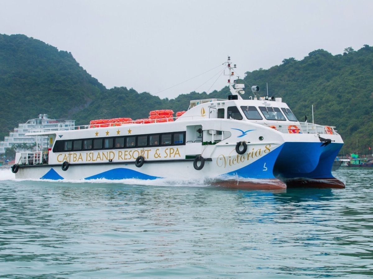 Du khách cân nhắc giữa hai phương án là tàu cao tốc và cáp treo Sun World