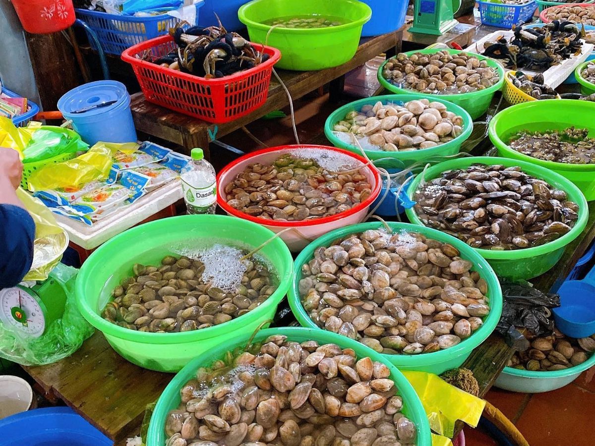 Hải sản Cát Bà có thể thưởng thức quanh năm với nhiều món hấp dẫn