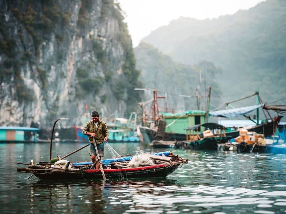 Nhờ lợi thế nằm gần các ngư trường lớn của vịnh Lan Hạ và vịnh Bắc Bộ, nguyên liệu luôn giữ được độ tươi và hương vị đặc trưng.