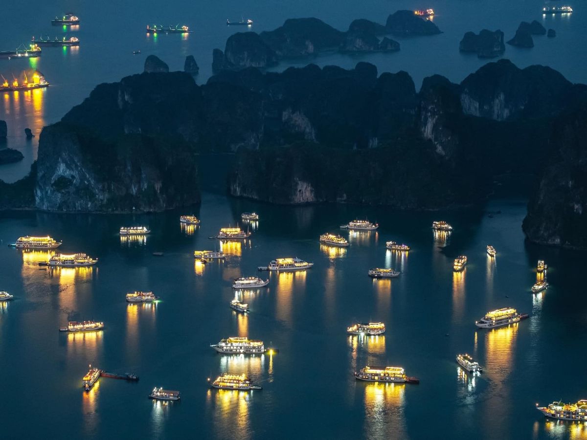 Ngắm sao là trải nghiệm thú vị ở Cát Bà.