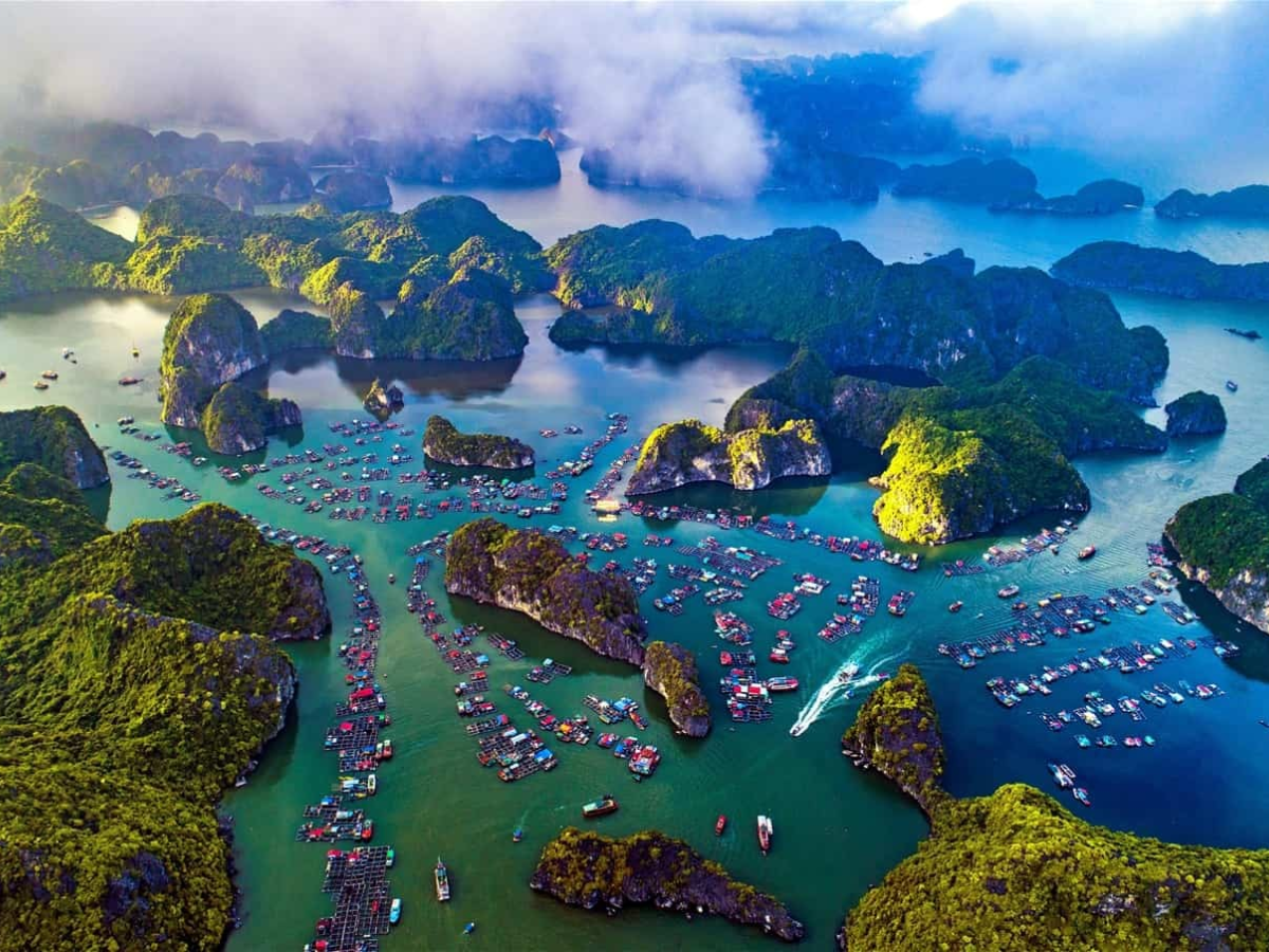 Cát Bà sở hữu hệ thống cảnh quan đa dạng, từ biển, đảo đá đến rừng trên núi đá vôi. Riêng Vịnh Lan Hạ có diện tích hơn 7.000 ha