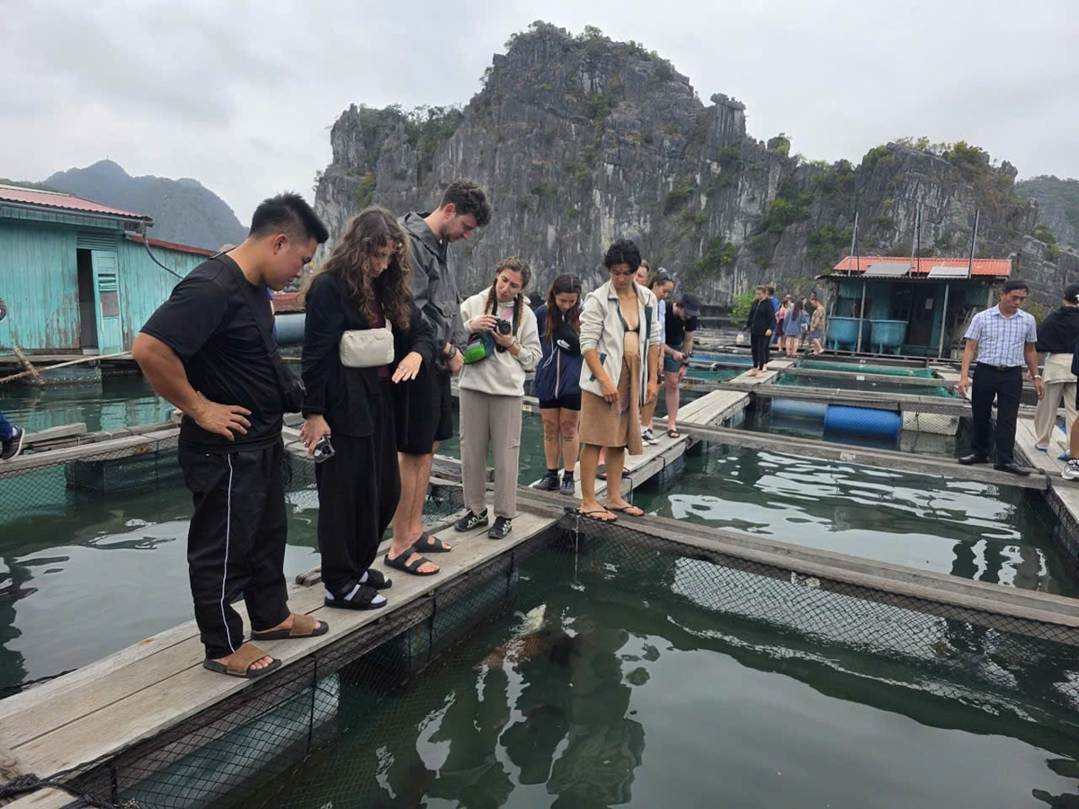 Du khách tham quan làng chài Cái Bèo, khám phá không gian sinh hoạt đặc trưng của ngư dân trên vùng biển Cát Bà