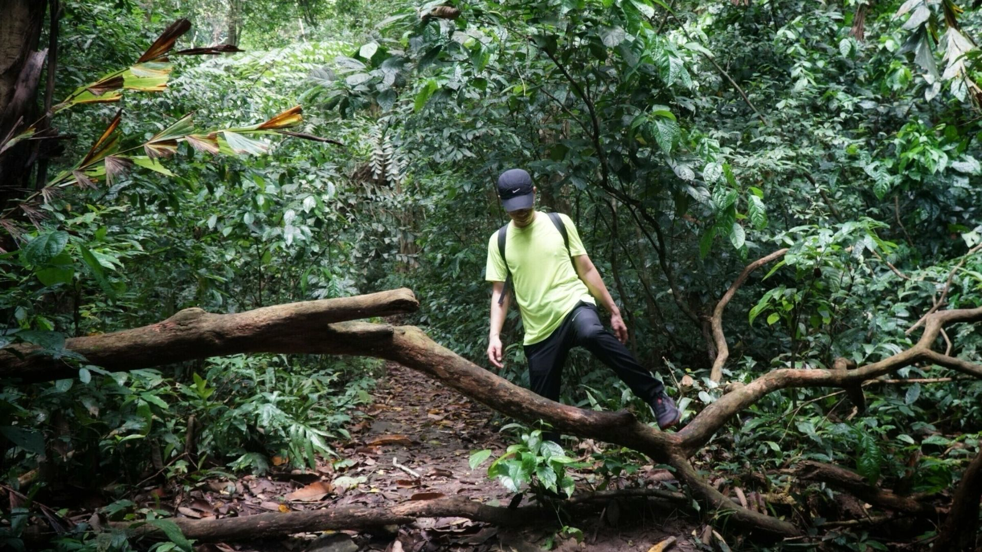 Trekking dưới những tán rừng xanh của Vườn quốc gia Cát Bà là trải nghiệm phù hợp với tiết trời mát lạnh