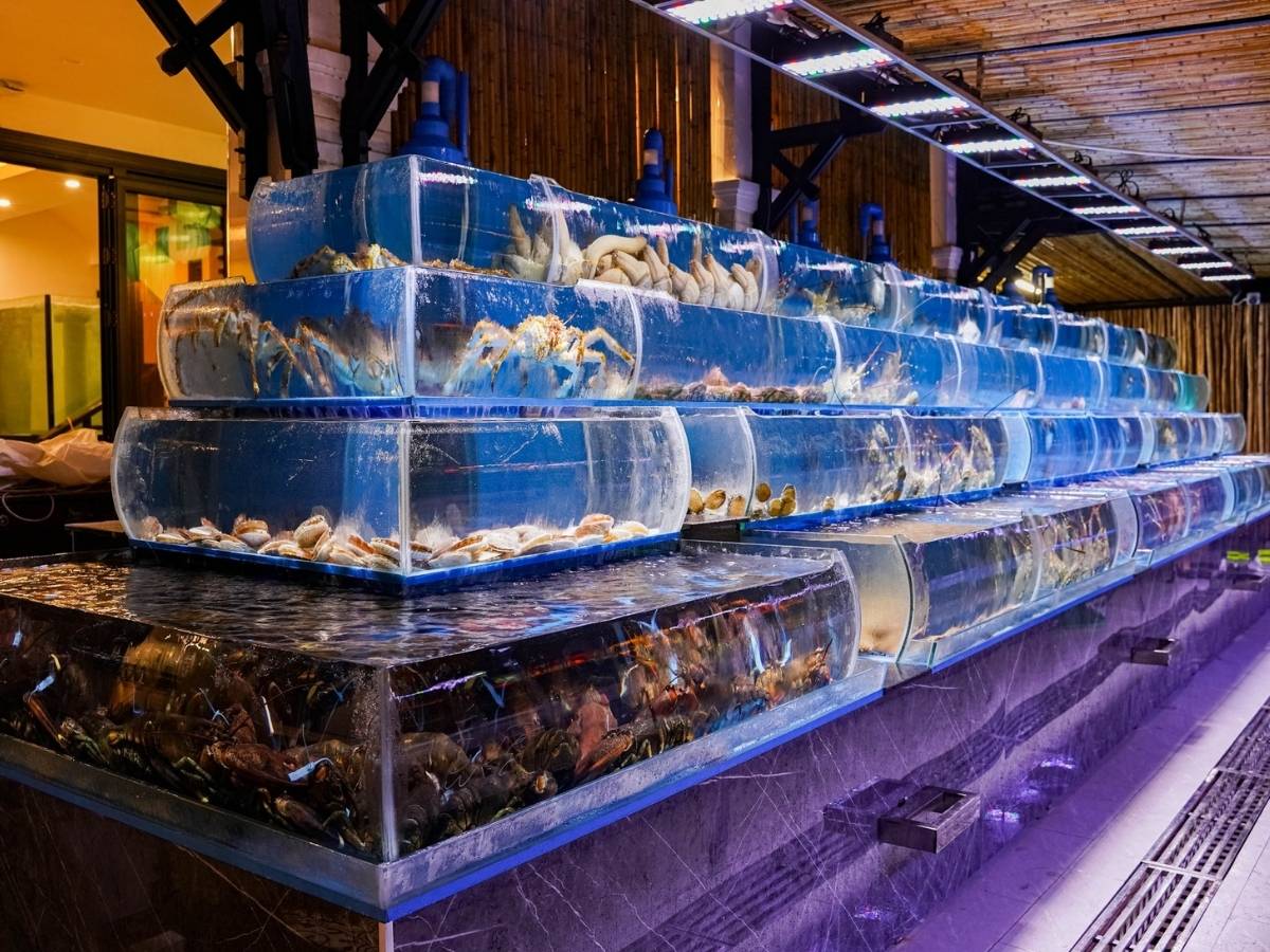 Nhà hàng có bể nuôi trực tiếp hoặc chợ hải sản lớn thường đảm bảo chất lượng hải sản Đà Nẵng tốt nhất