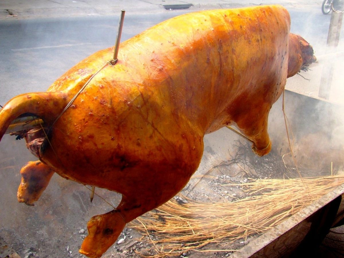 Con bê được xâu xiên cẩn thận, đặt trên giàn than hồng và quay chậm đều tay trong vài giờ liền