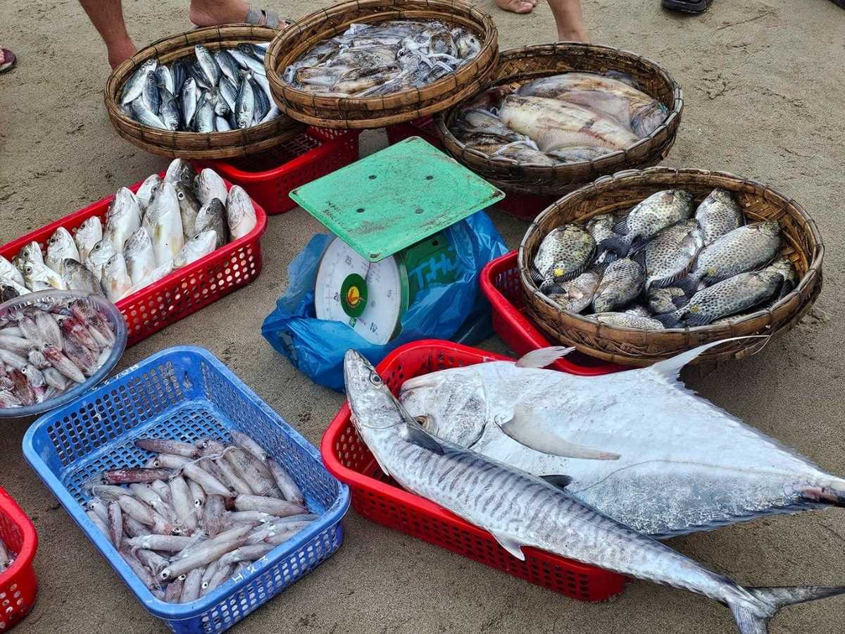 Món lẩu được yêu thích nhờ sử dụng nguồn hải sản vừa đánh bắt, giữ nguyên độ tươi ngon và vị ngọt đặc trưng của biển