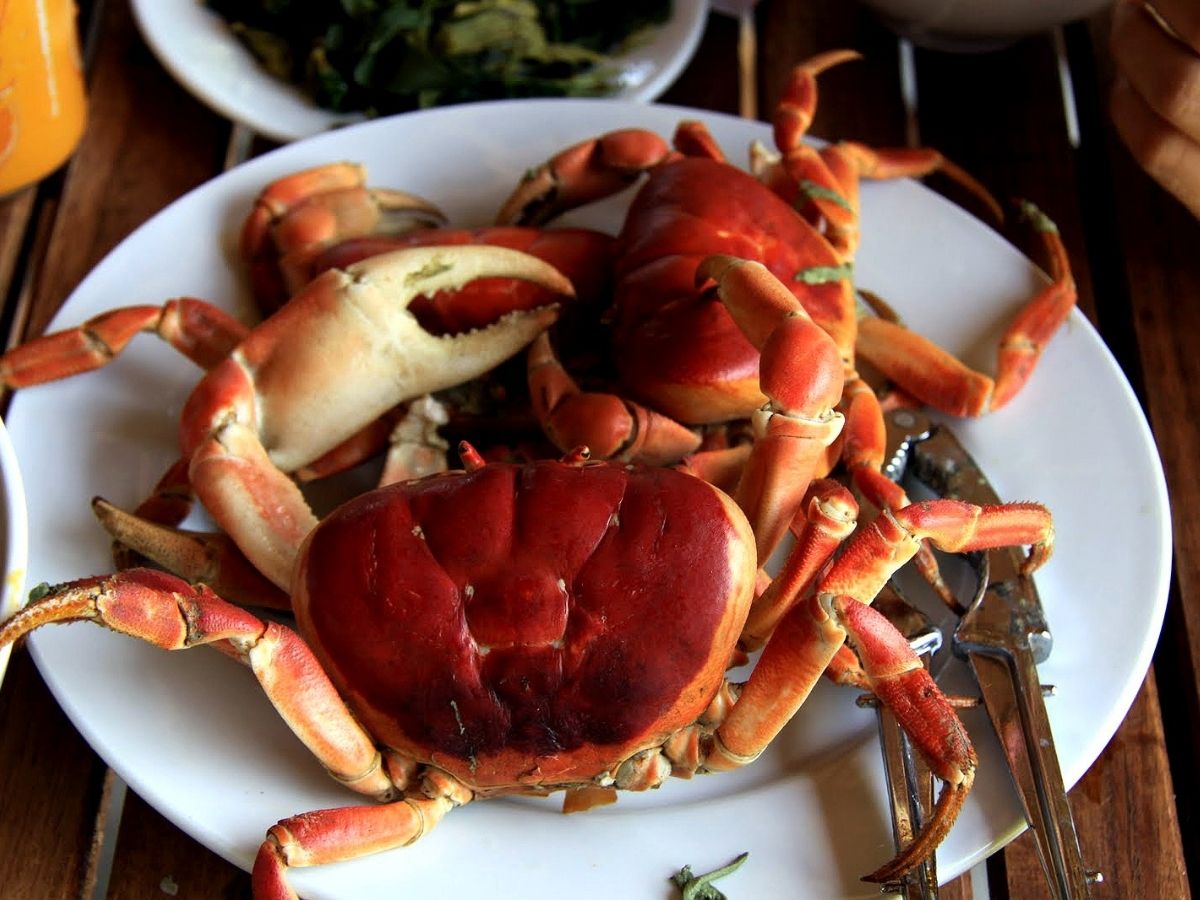 Cua đá Cù Lao Chàm có thân lớn, thịt nhiều và vị ngọt thanh.