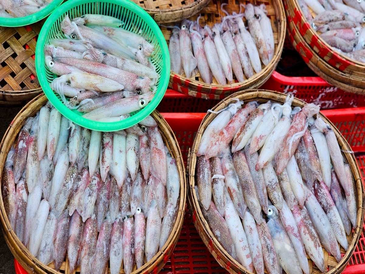 Chất lượng mực rim me quyết định bằng việc lựa chọn mực tươi ngon