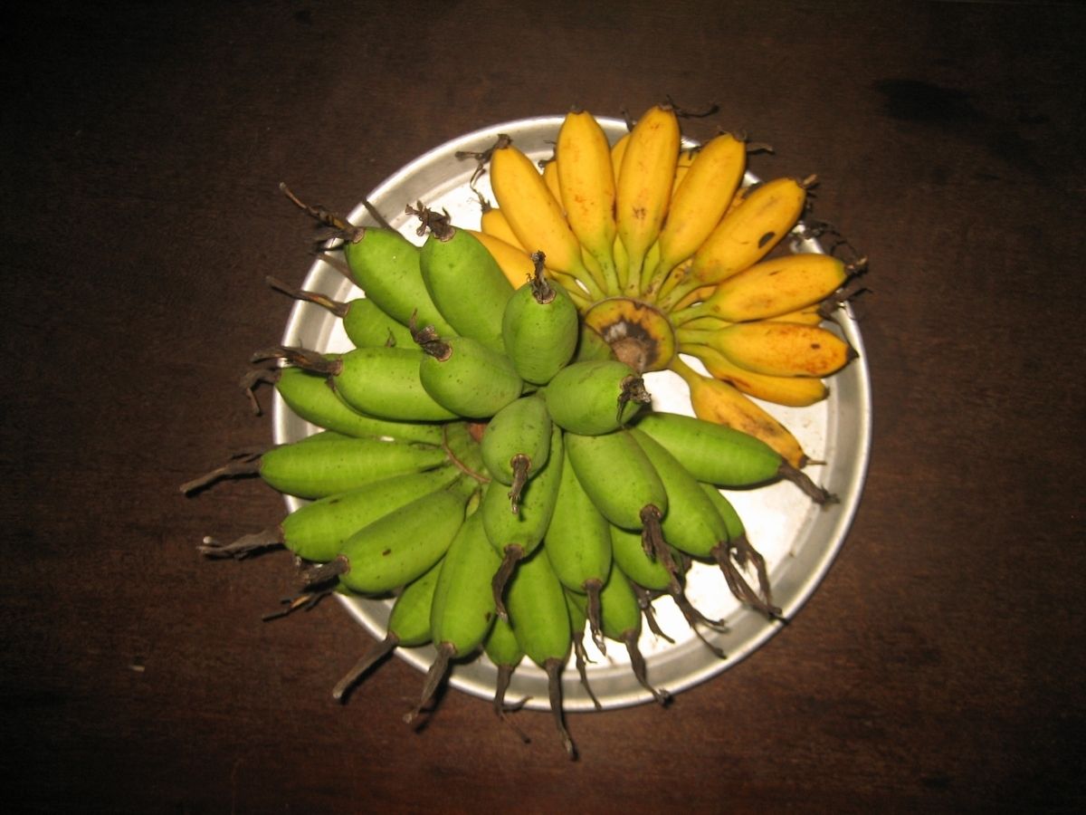10-du-lich-ha-nam-1-ngay.jpg
