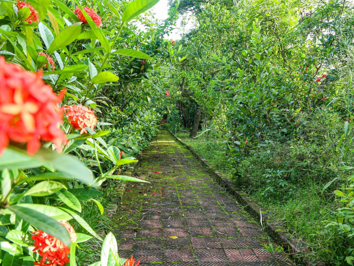 Ngõ trúc quanh co mà nhà thơ khắc hoạ trong bài “Thu điếu”