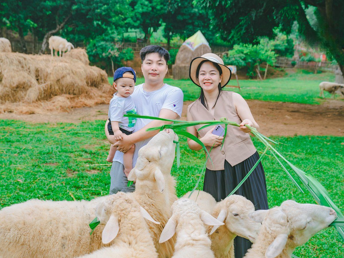 Sáng sớm hoặc hoàng hôn chính là khoảng thời điểm lý tưởng để sở hữu những “pô” ảnh đẹp tại đồi thông Nho Quan.