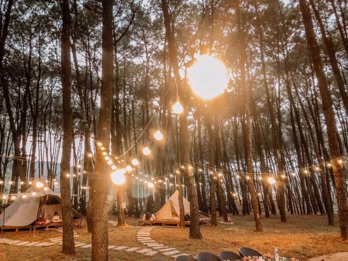 rải nghiệm vừa đi vừa ngắm cảnh quan bên đường sẽ khiến chặng đường tới đồi thông Nho Quan của du khách bớt mệt phần nào