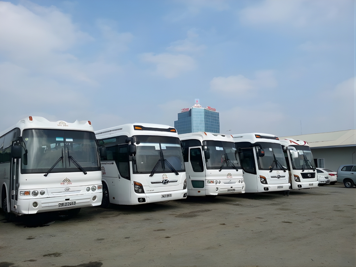 Xe Ninh Bình đi Thanh Hóa có đa dạng sự lựa chọn, phù hợp với nhiều nhu cầu khác nhau.