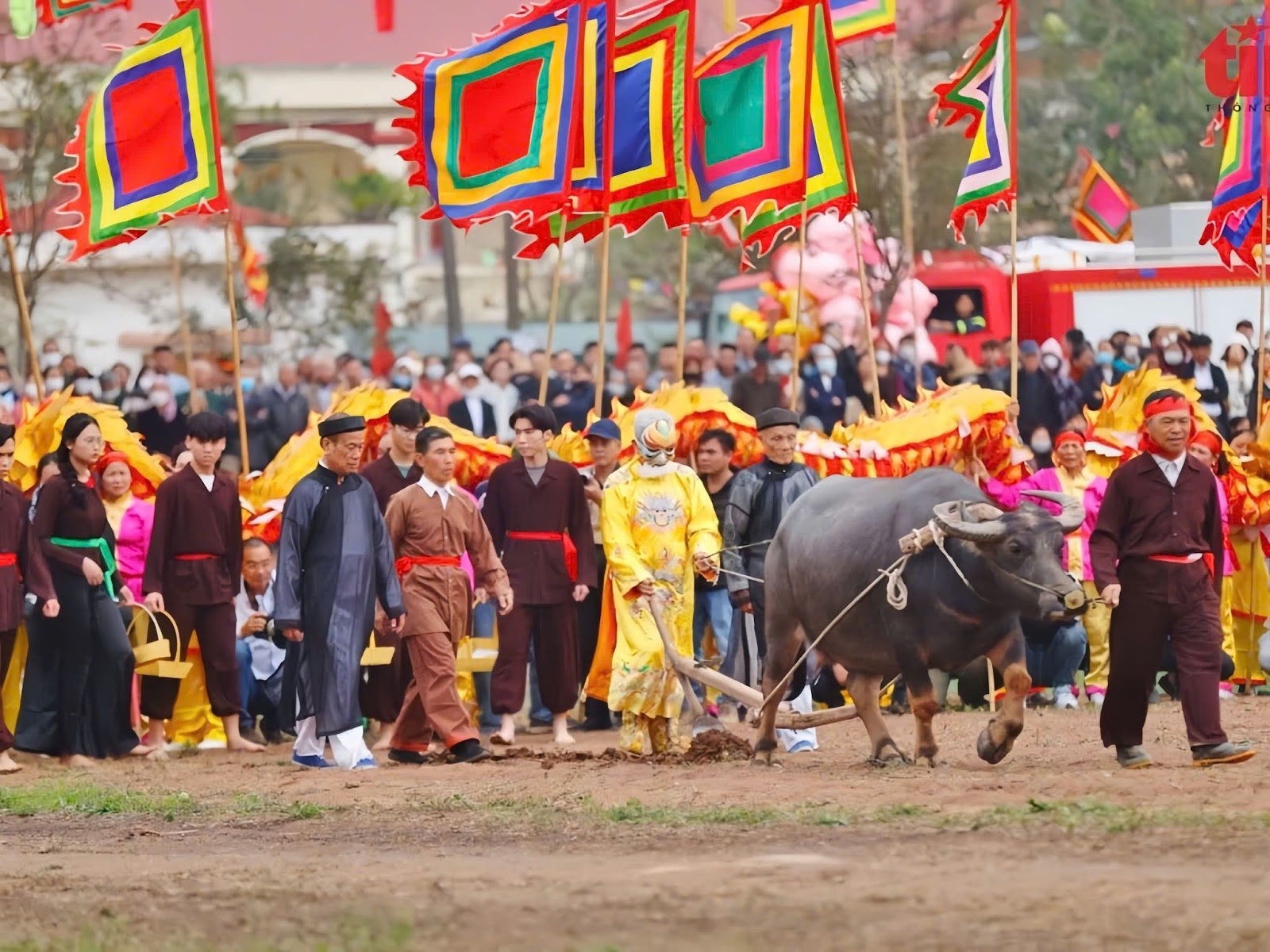 Tái hiện hình ảnh Vua đi cày trong lễ hội Tịch Điền.