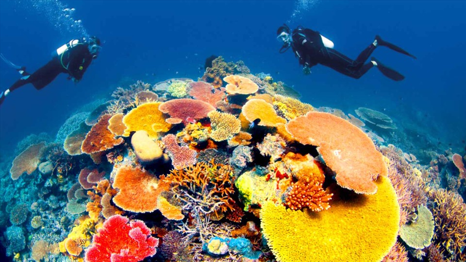 lan-bien-phu-quoc-1.jpg