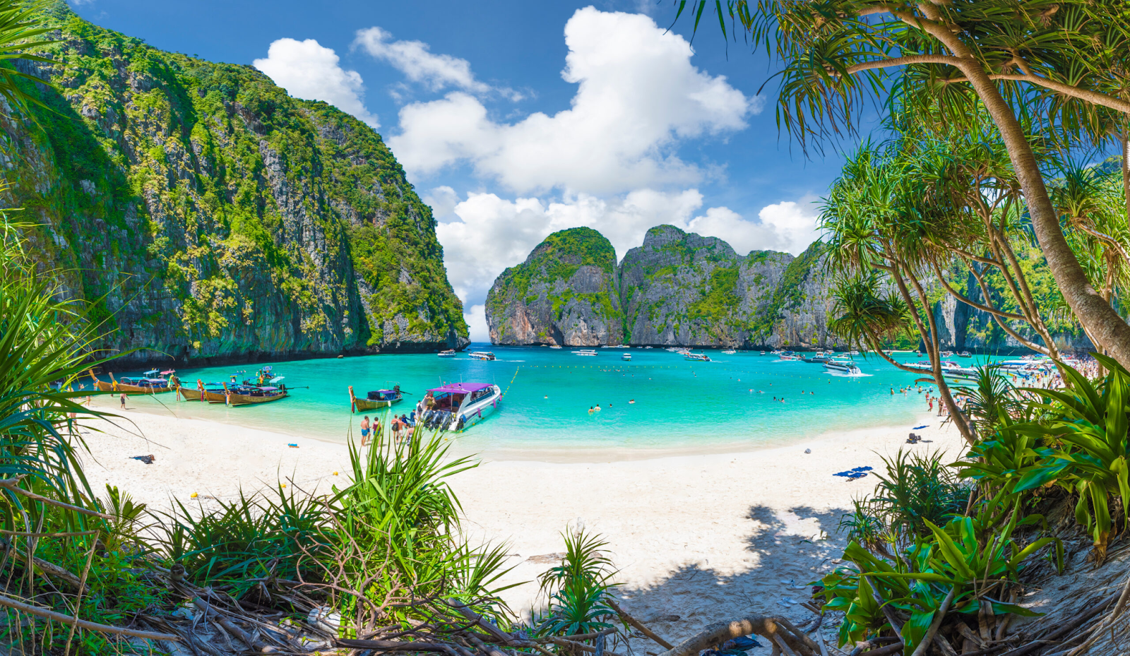 Maya Bay’s turquoise water enclosed by sheer limestone walls. (Photo: Collected)