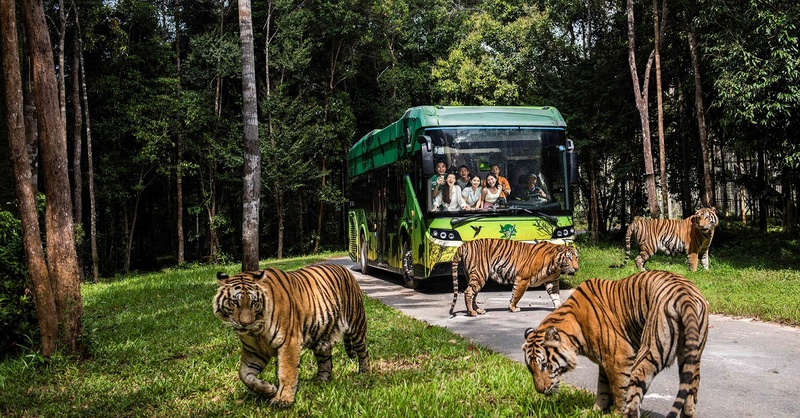 Du khách tham quan vườn thú bán hoang dã Vinpearl Safari Phú Quốc.