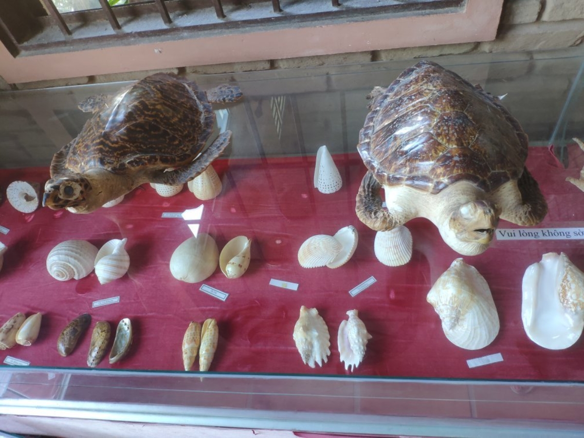 The sea forest collection is imbued with the colors of Pearl Island.