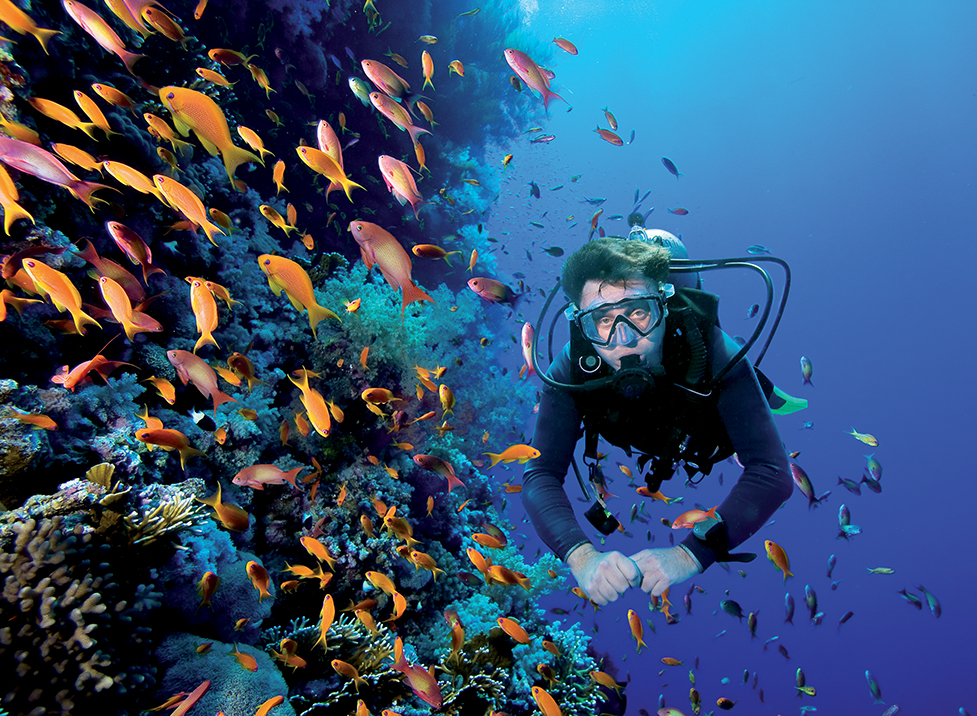 Du khách yêu khám phá có thể lặn biển ngắm san hô tại Hòn Mây Rút