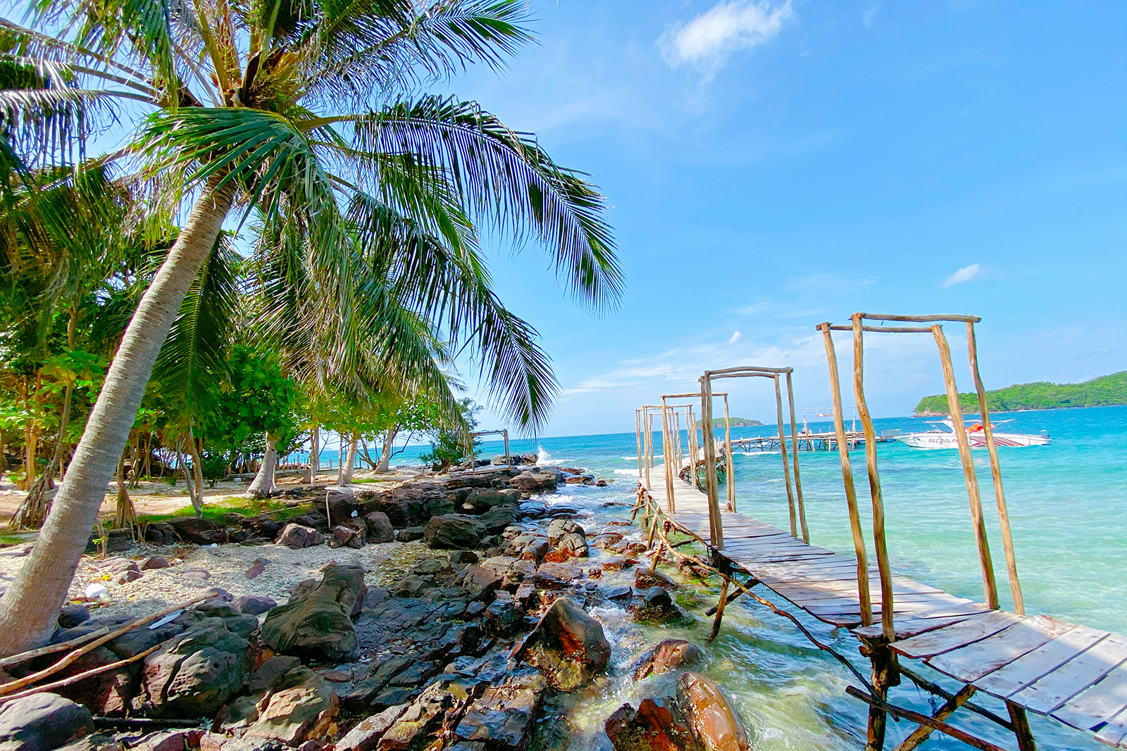 Cây cầu gỗ mộc mạc nhưng nổi bật giữa không gian thiên nhiên thơ mộng