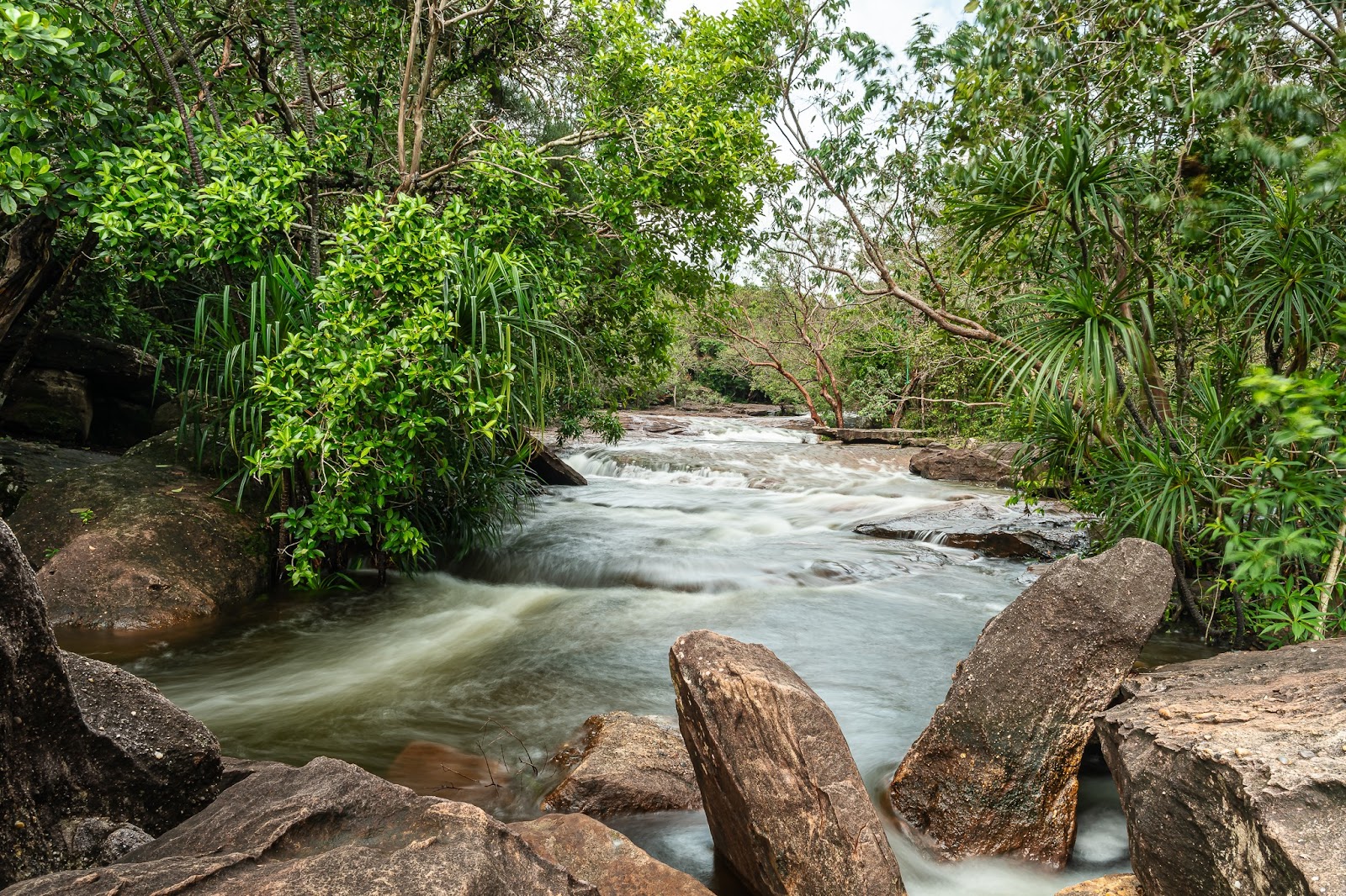 Suối Đá Bàn thu hút bởi vẻ đẹp thiên nhiên nguyên sơ, trong lành