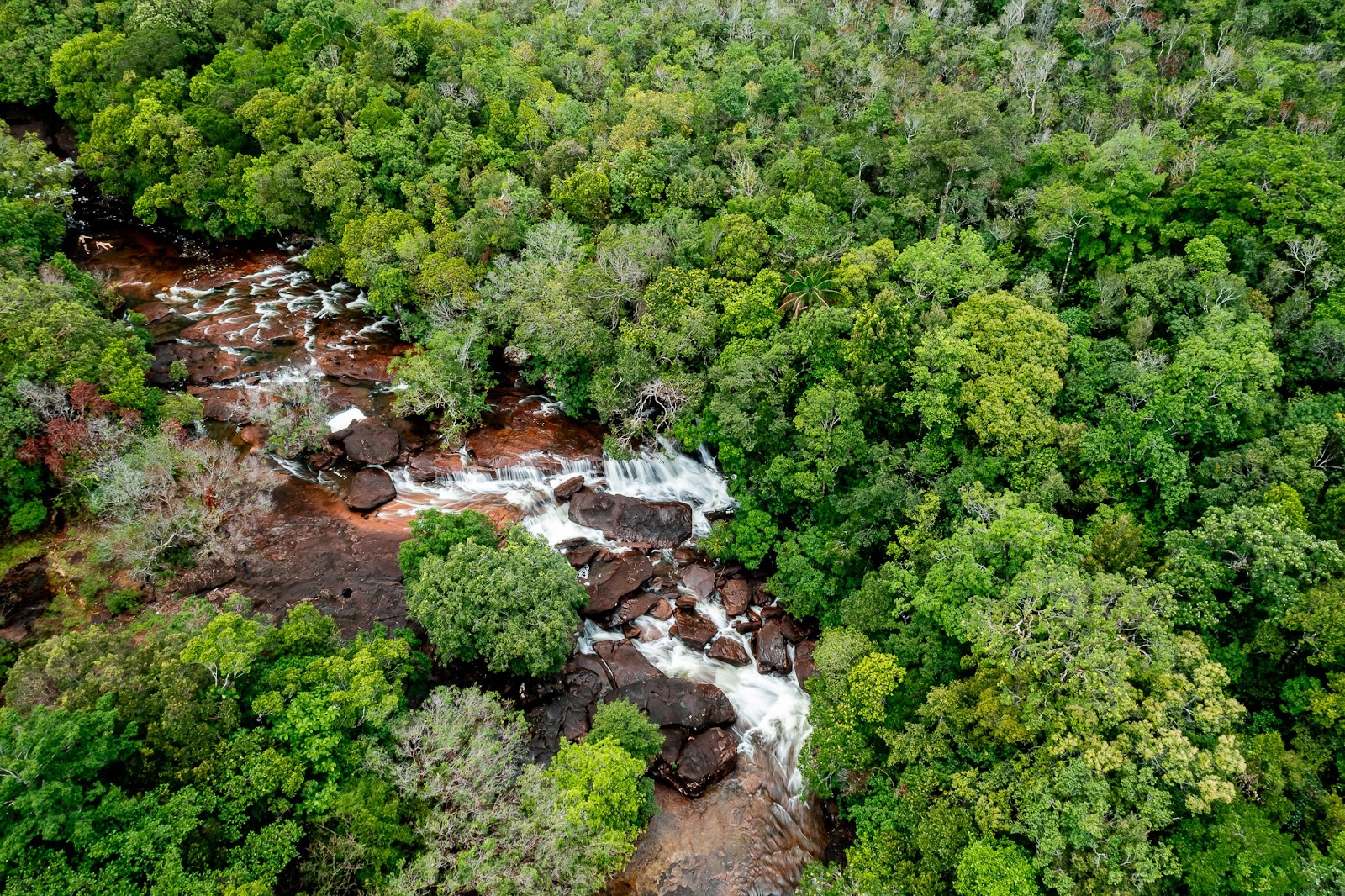 Suối Đá Bàn thích hợp để du khách ghé thăm bất cứ thời điểm nào trong năm