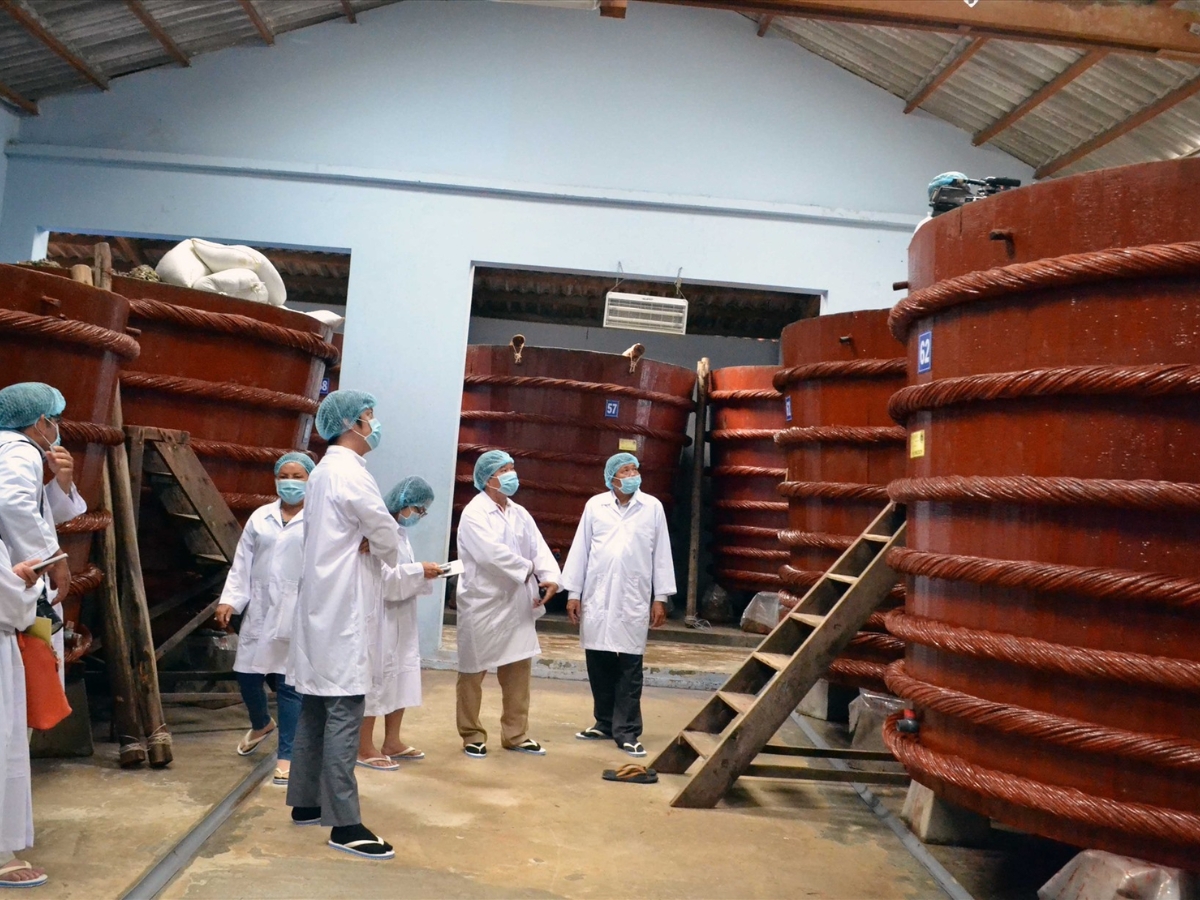 游客参观并了解富国岛的鱼露制作过程。