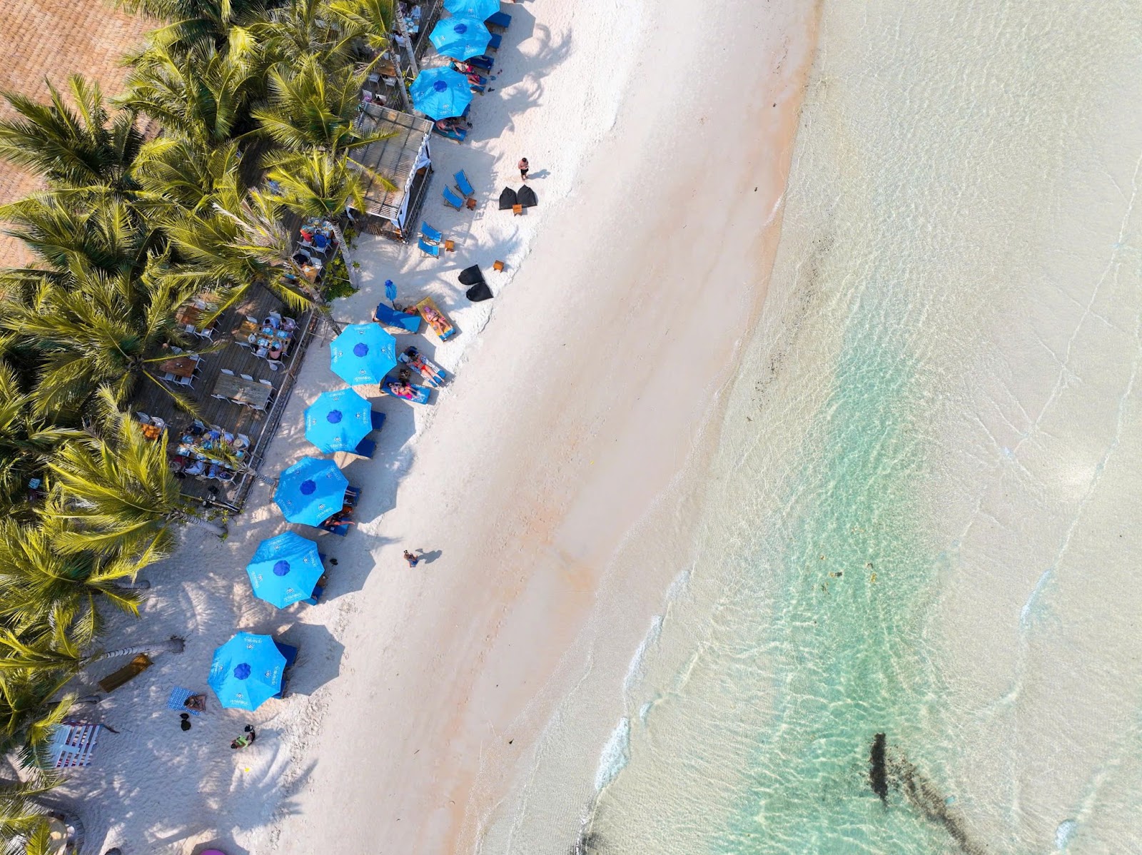 Самые красивые пляжи Фукуока (Источник: Коллекция)