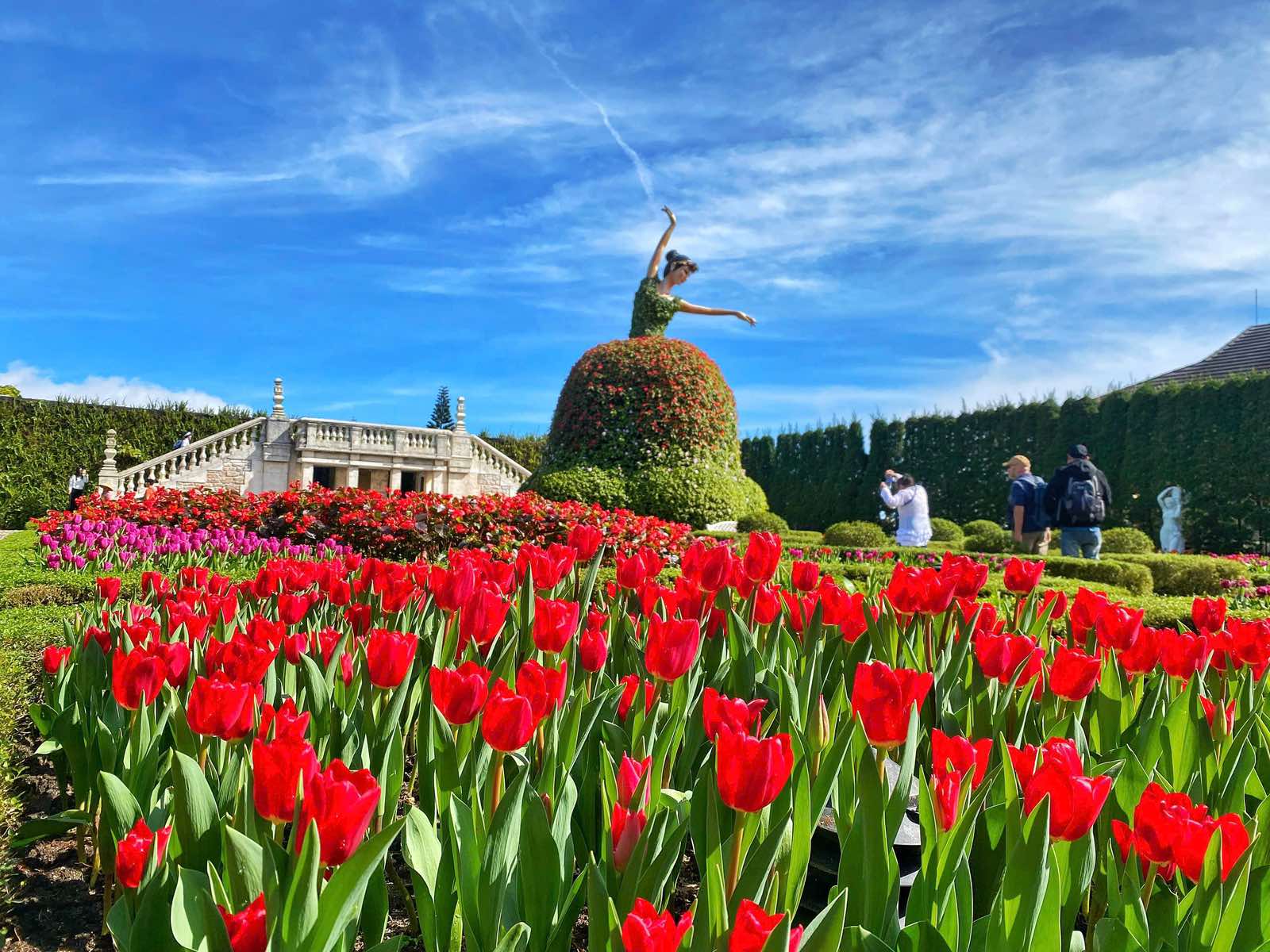 Radiant tulip displays create a festive fairyland at Sun World Ba Na Hills during the spring season.