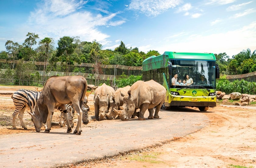 Du khách thích thú trải nghiệm Vinpearl Safari (Nguồn: Sưu tầm)