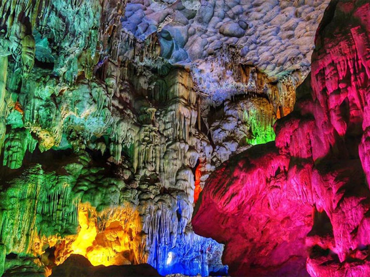 Hướng dẫn di chuyển tới hang Đầu Gỗ