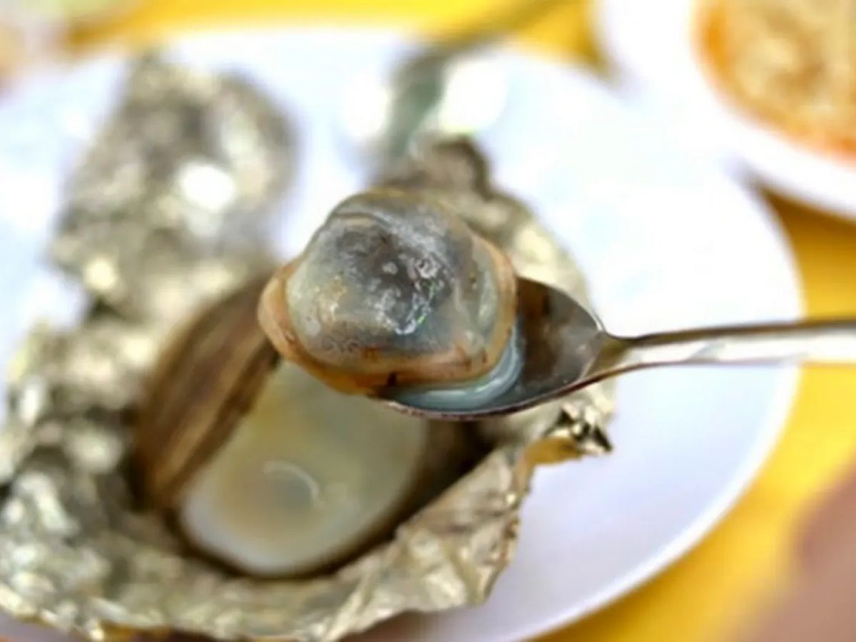 Ngán biển sống trong cát có hình hài nhỏ nhưng lại chinh phục bao tâm hồn ăn uống. (Nguồn: Sưu tầm)