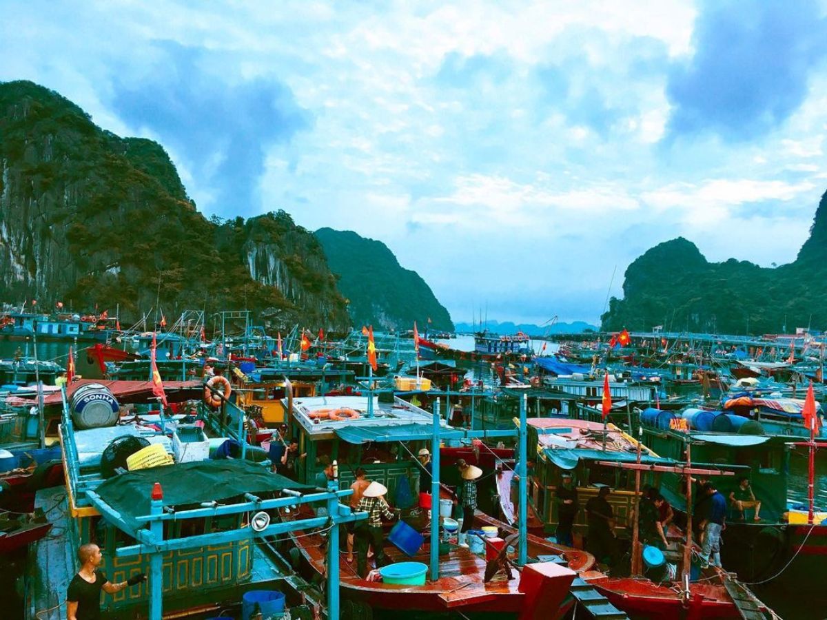 Chợ Hòn Gai là thiên đường hải sản tươi sống, nơi du khách có thể chọn và thưởng thức món ngon ngay tại chỗ.