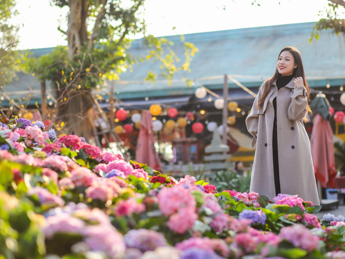 Ánh nắng chan hoà cùng sắc xuân dịp Tết đến tại Hạ Long.