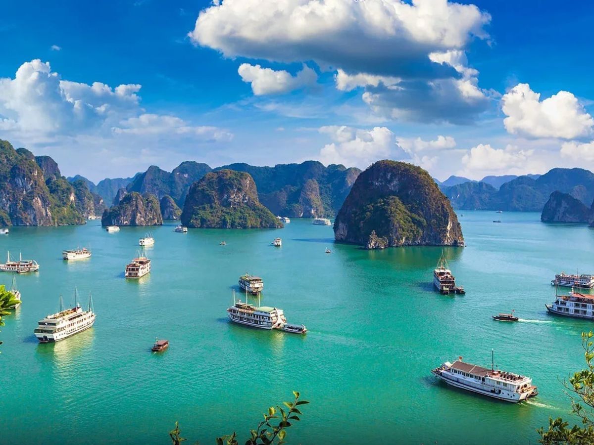 Vịnh Hạ Long mang đến nhiều trải nghiệm thú vị cho du khách