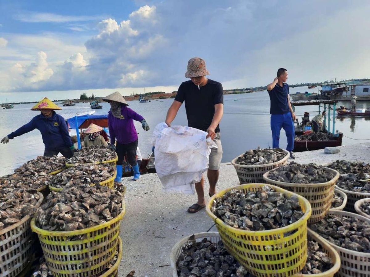 Chọn thời điểm đẹp để du lịch đảo Ngọc Vừng Quảng Ninh.